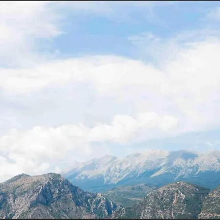 View Anthemis Boutique B1 アパート